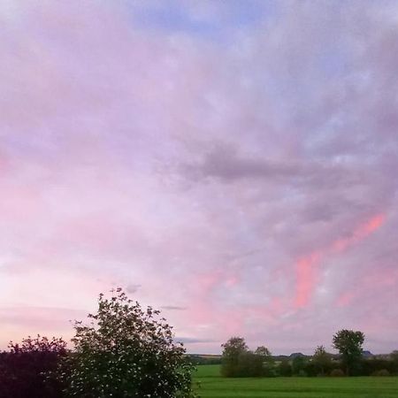 Privatzimmer Mit Aussicht Pirna Buitenkant foto