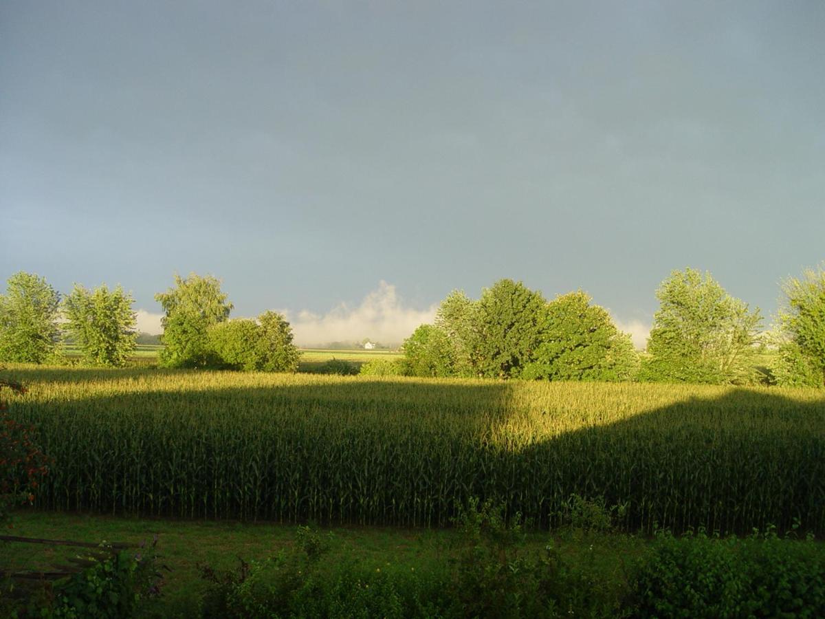 Privatzimmer Mit Aussicht Pirna Buitenkant foto