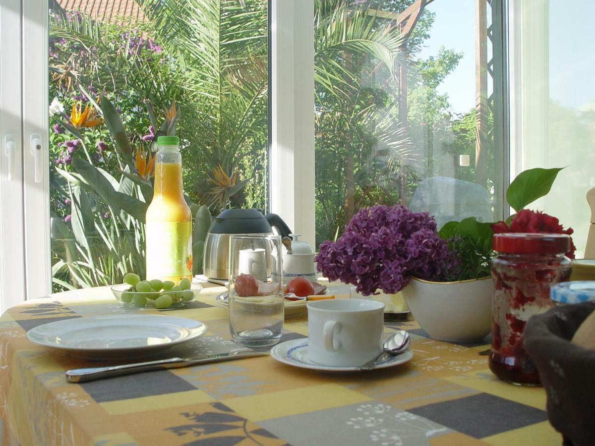 Privatzimmer Mit Aussicht Pirna Buitenkant foto