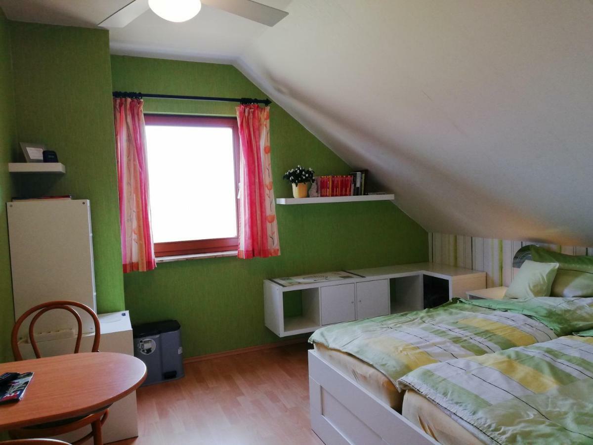 Privatzimmer Mit Aussicht Pirna Buitenkant foto